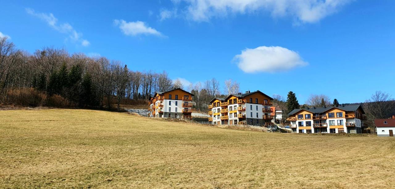 Apartament Nr 16 Szklarska Poręba Bagian luar foto