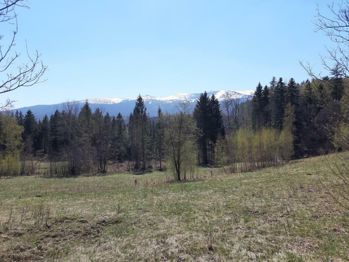 Apartament Nr 16 Szklarska Poręba Bagian luar foto